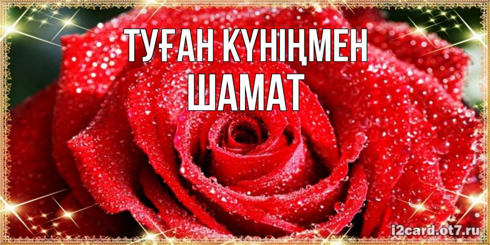 Күн сайын ашық хат с именем, ШАМАТ Туған күніңмен роса и роза. открытка с красивой розой Онлайн тегін жүктеп алу тілектері бар керемет карта 