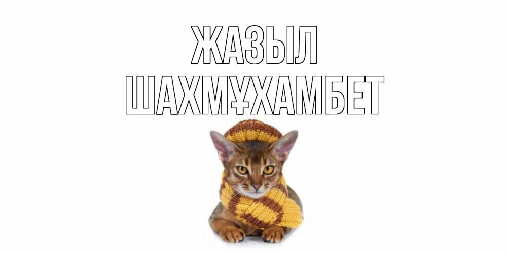 Күн сайын ашық хат с именем, ШАХМҰХАМБЕТ Жазыл родные не болейте Онлайн тегін жүктеп алу тілектері бар керемет карта 