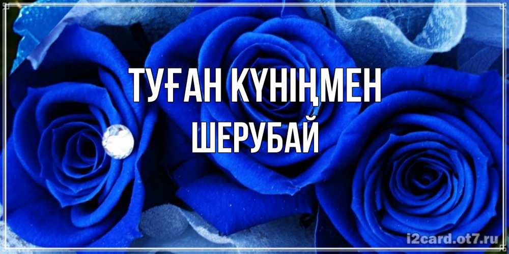 Күн сайын ашық хат с именем, ШЕРУБАЙ Туған күніңмен синие розы в росе Онлайн тегін жүктеп алу тілектері бар керемет карта 