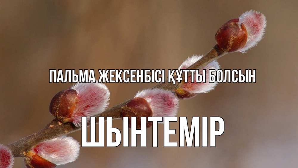 Күн сайын ашық хат с именем, ШЫНТЕМІР Пальма жексенбісі құтты болсын верба Онлайн тегін жүктеп алу тілектері бар керемет карта 