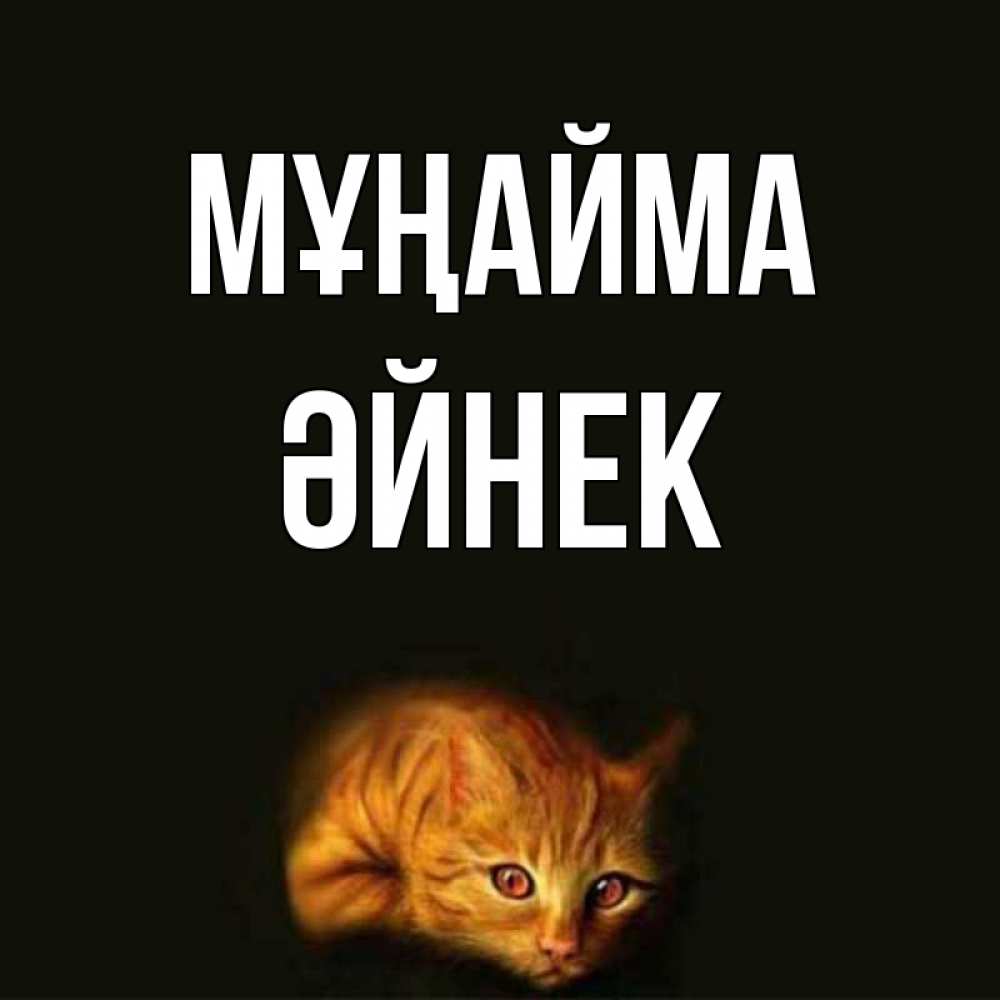 Күн сайын ашық хат с именем, ӘЙНЕК Мұңайма лежащий кот в темноте Онлайн тегін жүктеп алу тілектері бар керемет карта 