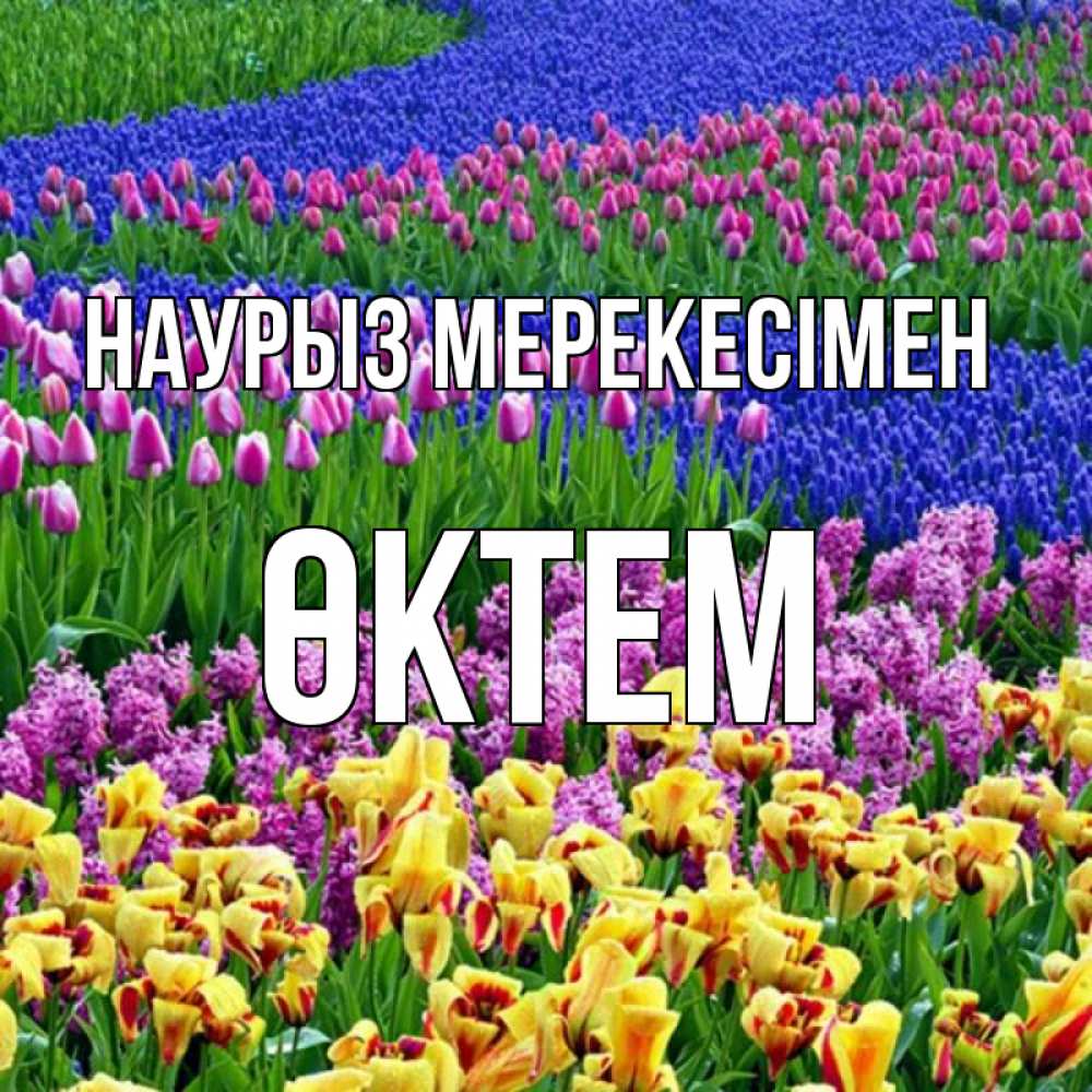 Күн сайын ашық хат с именем, ӨКТЕМ Наурыз мерекесімен цветы Онлайн тегін жүктеп алу тілектері бар керемет карта 