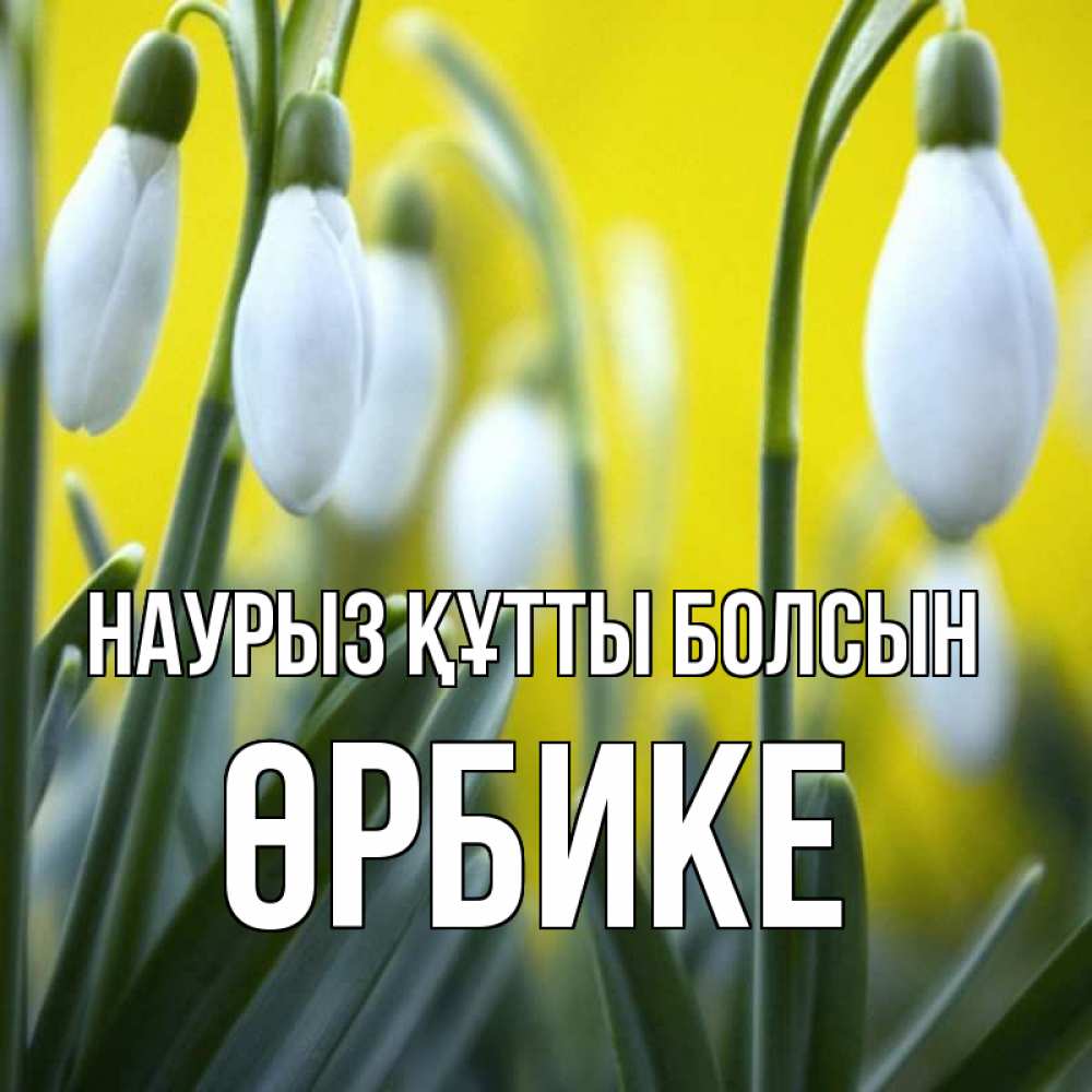 Күн сайын ашық хат с именем, ӨРБИКЕ Наурыз құтты болсын весенние цветы Онлайн тегін жүктеп алу тілектері бар керемет карта 