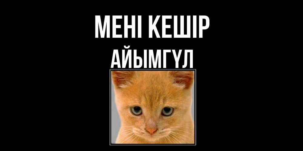 Күн сайын ашық хат с именем, АЙЫМГҮЛ Мені кешір рыжий грустный кот просит прощения Онлайн тегін жүктеп алу тілектері бар керемет карта 