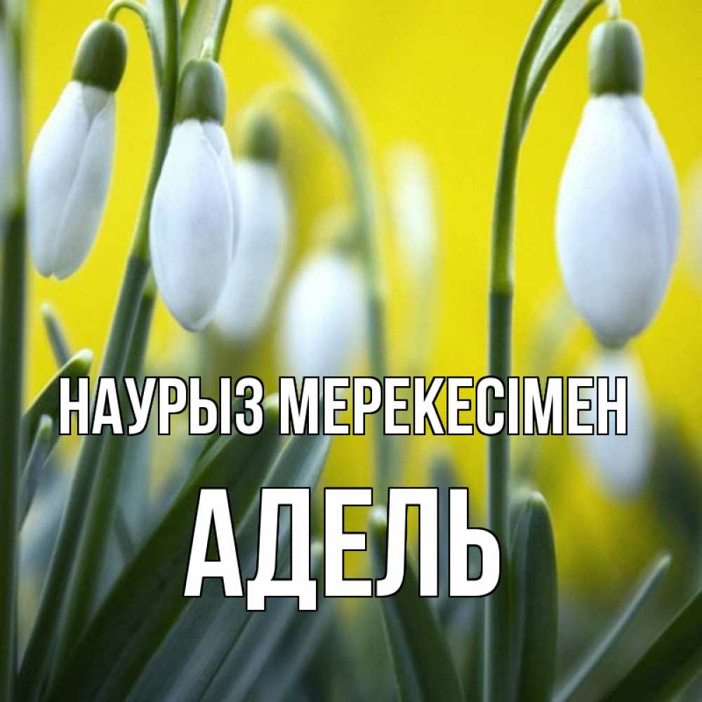 Күн сайын ашық хат с именем, Адель Наурыз мерекесімен весенние цветы Онлайн тегін жүктеп алу тілектері бар керемет карта 