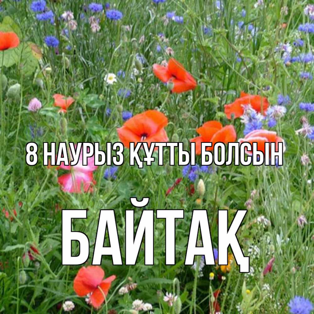 Күн сайын ашық хат с именем, Байтақ 8 наурыз құтты болсын международный женский день 4 Онлайн тегін жүктеп алу тілектері бар керемет карта 