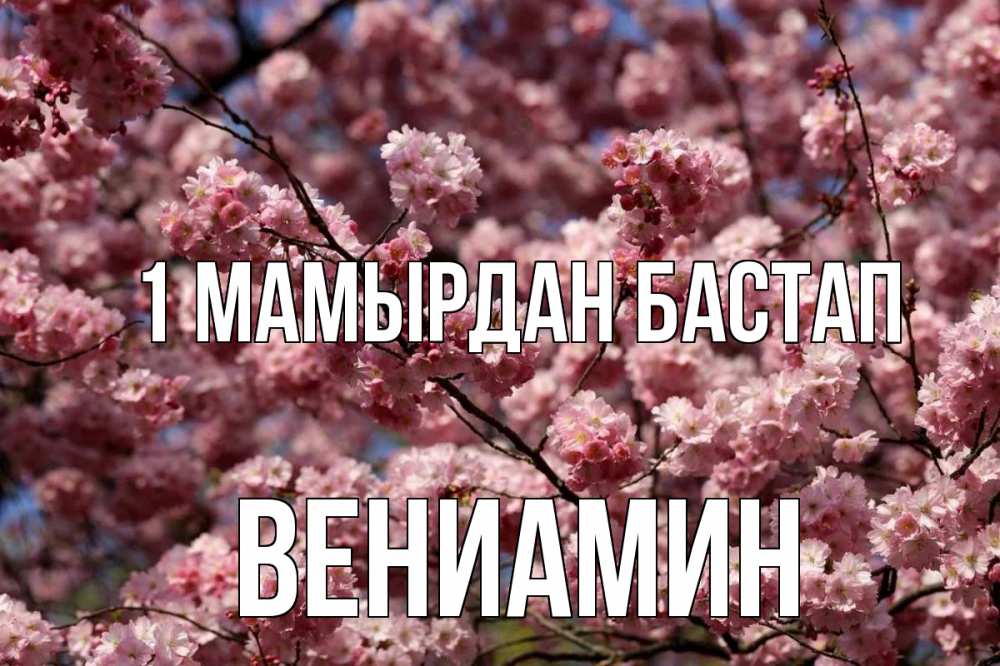 Күн сайын ашық хат с именем, Вениамин 1 мамырдан бастап С 1 мая Онлайн тегін жүктеп алу тілектері бар керемет карта 