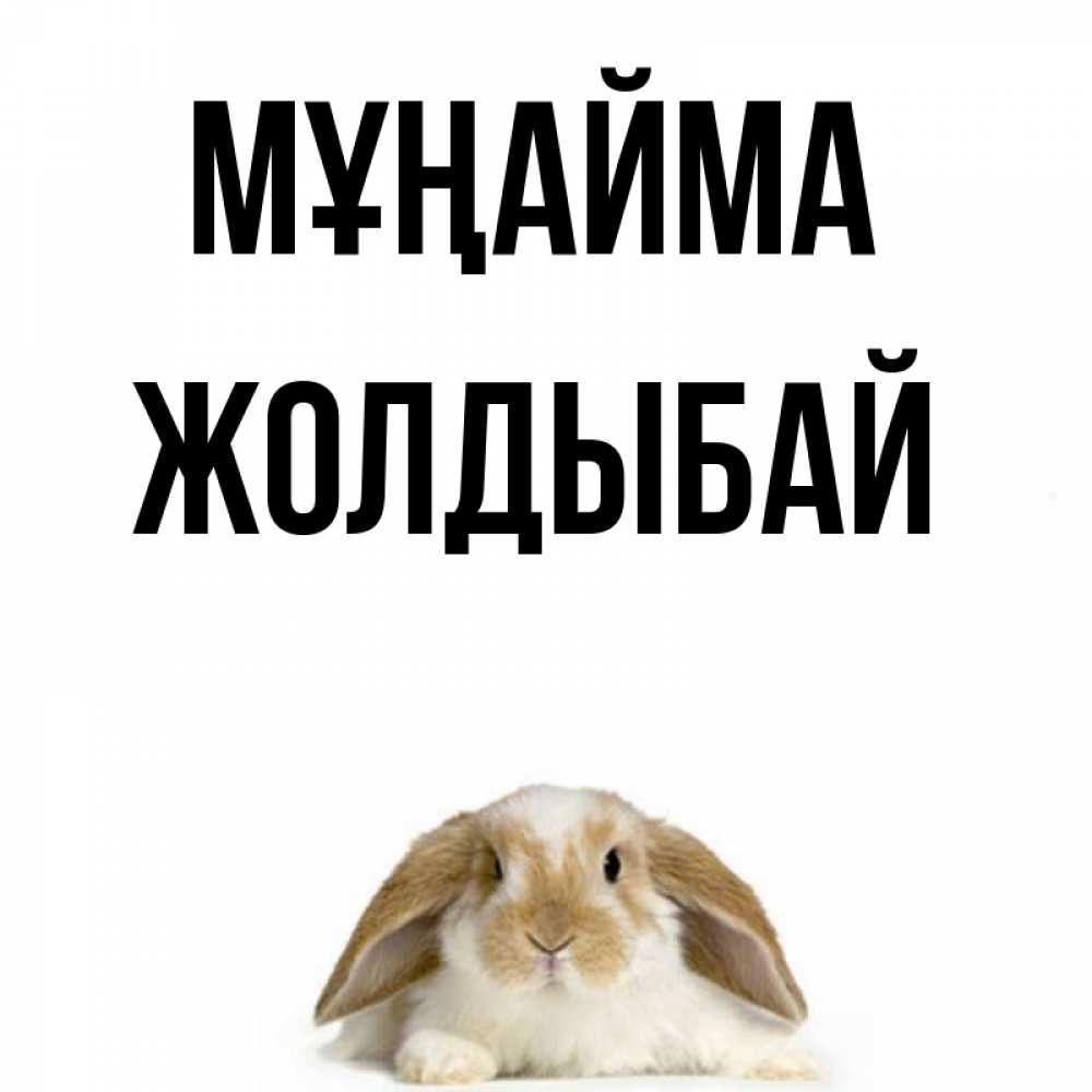Күн сайын ашық хат с именем, Жолдыбай Мұңайма коричнево белый заяц с большими ушками Онлайн тегін жүктеп алу тілектері бар керемет карта 
