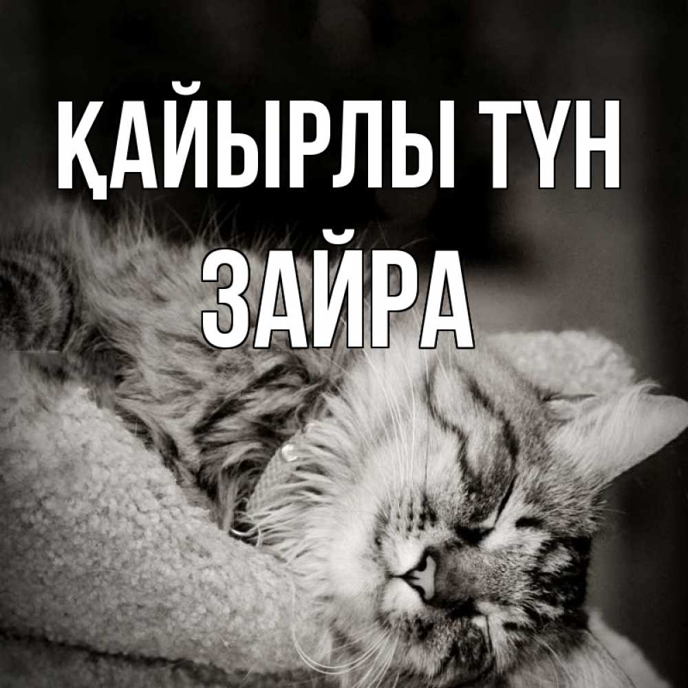 Күн сайын ашық хат с именем, ЗАЙРА Қайырлы түн котярик пушистый Онлайн тегін жүктеп алу тілектері бар керемет карта 