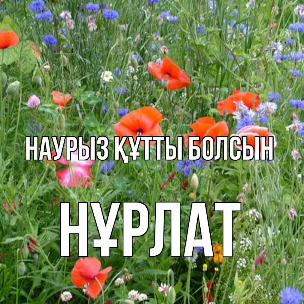 Күн сайын ашық хат с именем, НҰРЛАТ Наурыз құтты болсын наурыз  4 Онлайн тегін жүктеп алу тілектері бар керемет карта 
