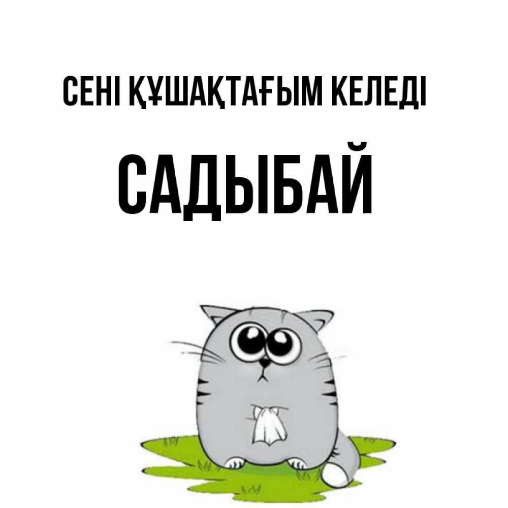 Күн сайын ашық хат с именем, САДЫБАЙ сені құшақтағым келеді котик теребит платочек сидя на травке Онлайн тегін жүктеп алу тілектері бар керемет карта 