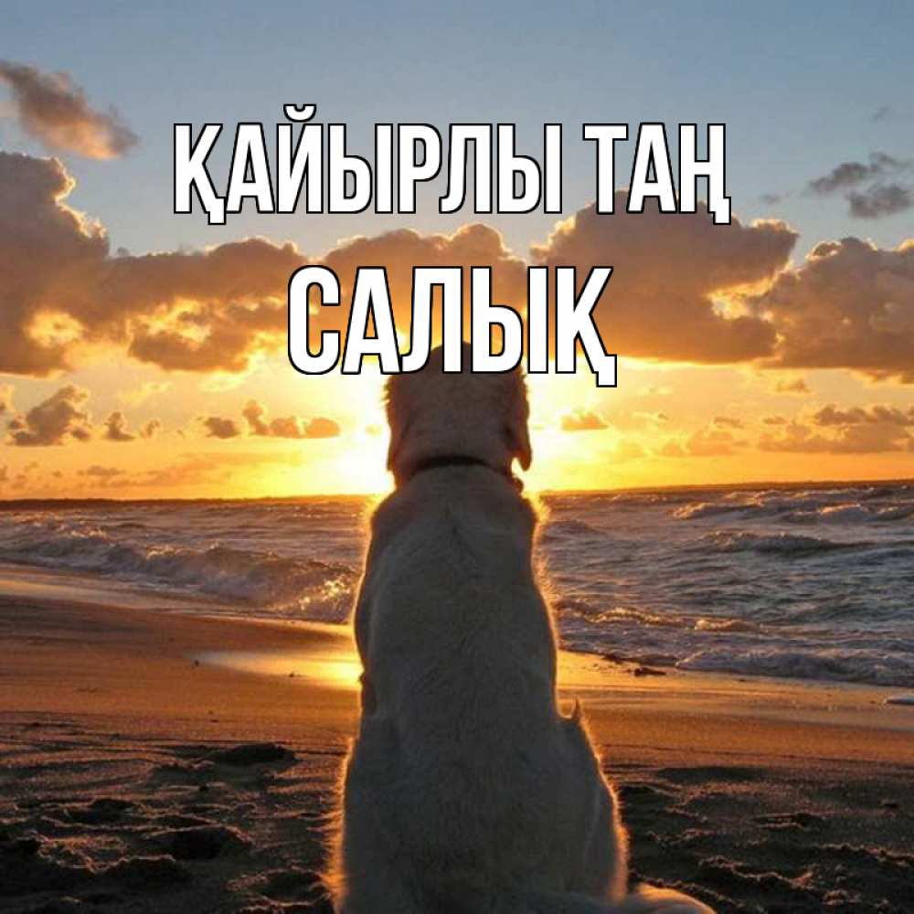 Күн сайын ашық хат с именем, САЛЫҚ Қайырлы таң восход солнца Онлайн тегін жүктеп алу тілектері бар керемет карта 