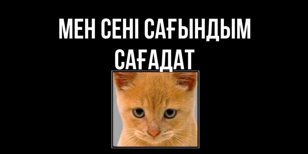 Күн сайын ашық хат с именем, САҒАДАТ Мен сені сағындым открытки рыжий котенок скучает по тебе Онлайн тегін жүктеп алу тілектері бар керемет карта 