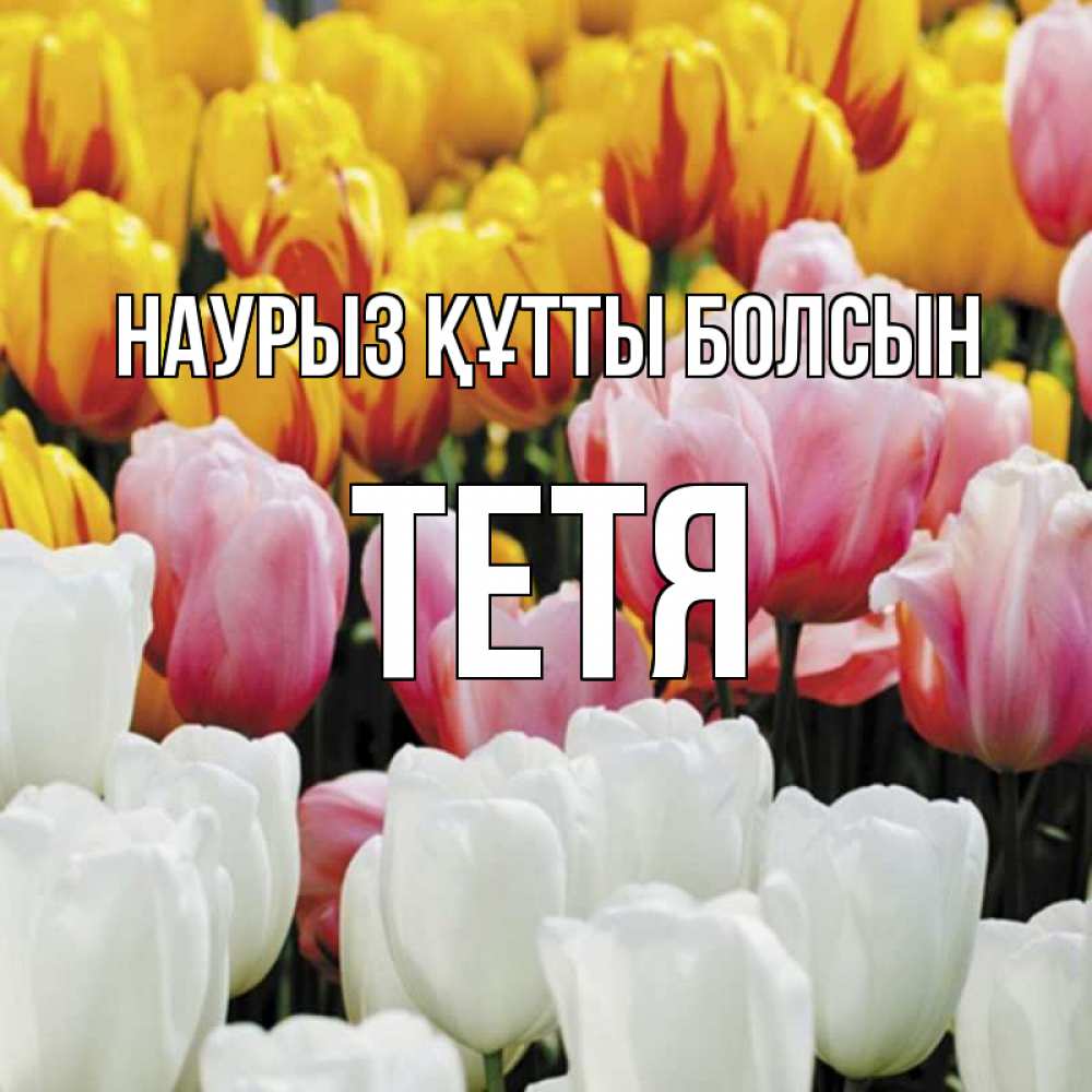 Күн сайын ашық хат с именем, Тетя Наурыз құтты болсын разноцветные цветы Онлайн тегін жүктеп алу тілектері бар керемет карта 