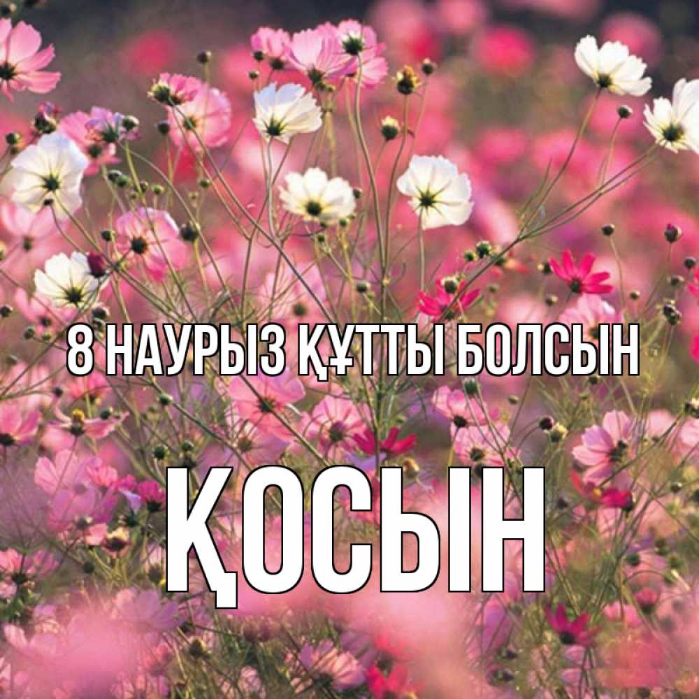 Күн сайын ашық хат с именем, ҚОСЫН 8 наурыз құтты болсын красиво 1 Онлайн тегін жүктеп алу тілектері бар керемет карта 