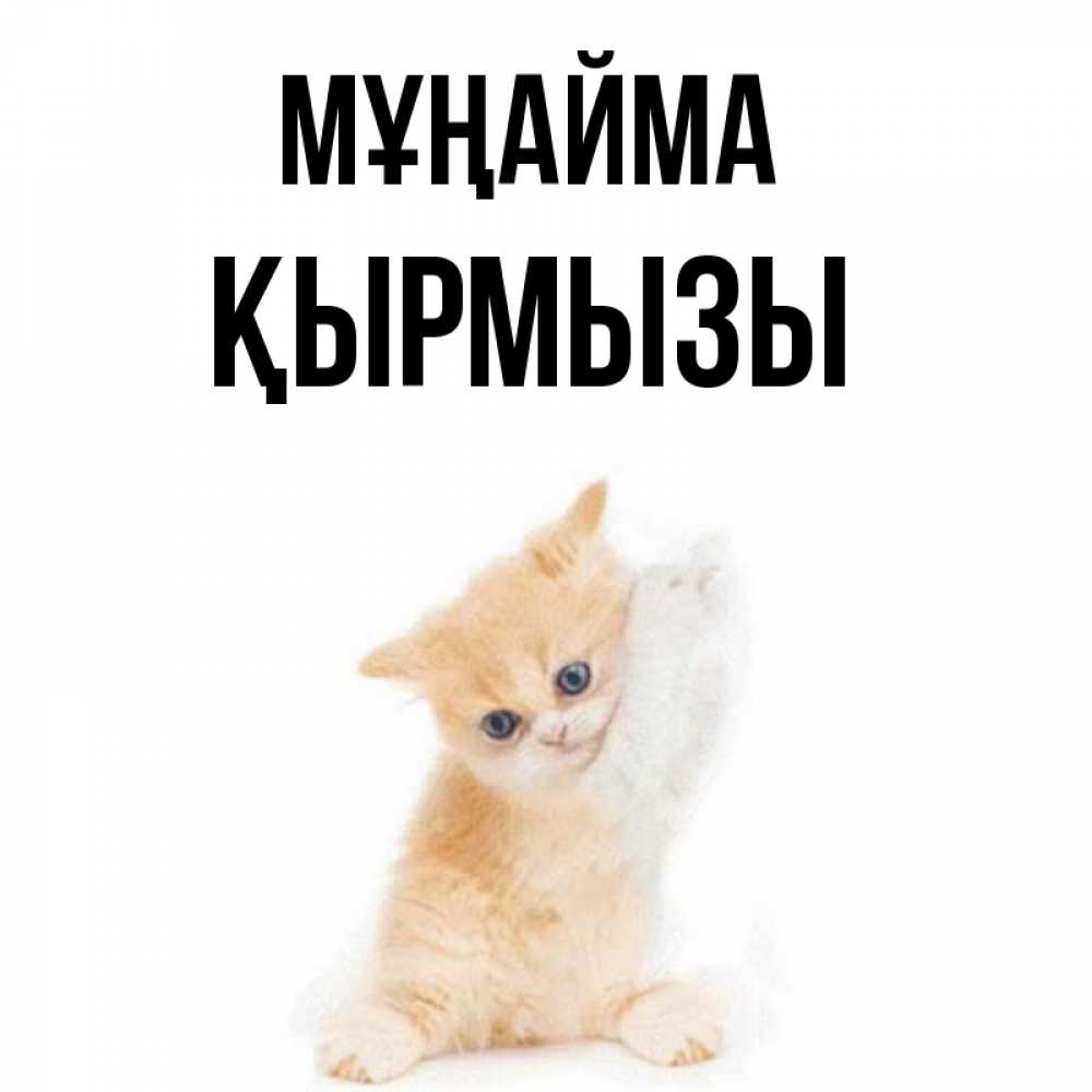 Күн сайын ашық хат с именем, ҚЫРМЫЗЫ Мұңайма просящий кот Онлайн тегін жүктеп алу тілектері бар керемет карта 