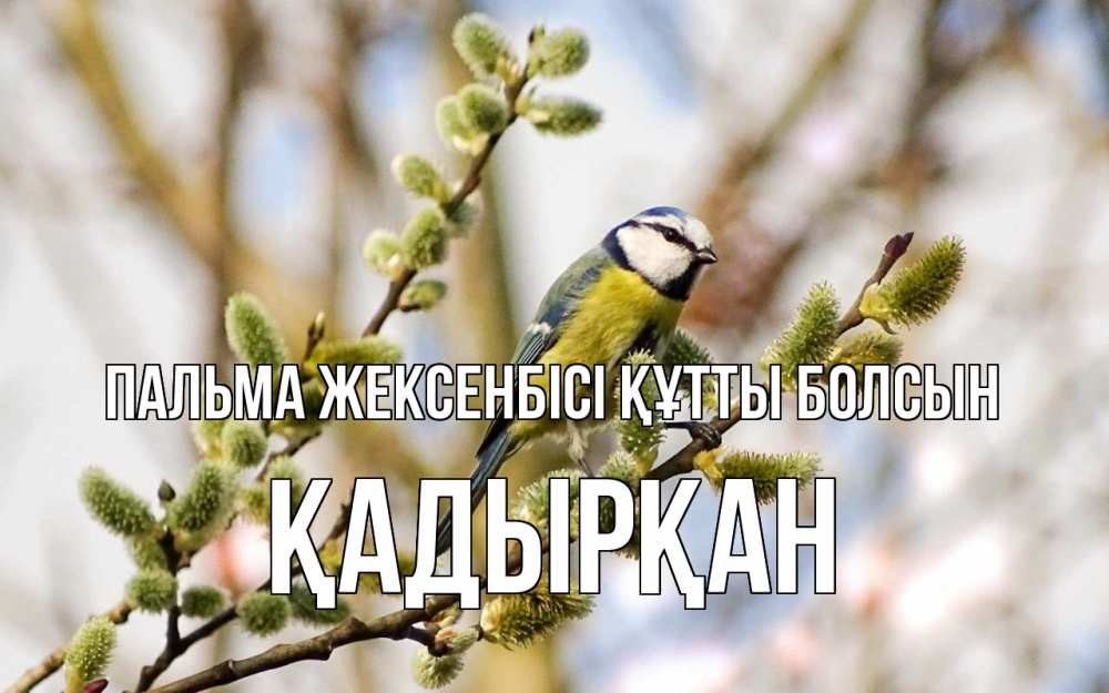 Күн сайын ашық хат с именем, Қадырқан Пальма жексенбісі құтты болсын верба Онлайн тегін жүктеп алу тілектері бар керемет карта 