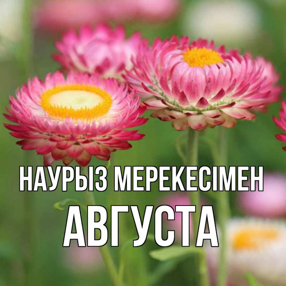 Күн сайын ашық хат с именем, Августа Наурыз мерекесімен подарок на международный женский день Онлайн тегін жүктеп алу тілектері бар керемет карта 