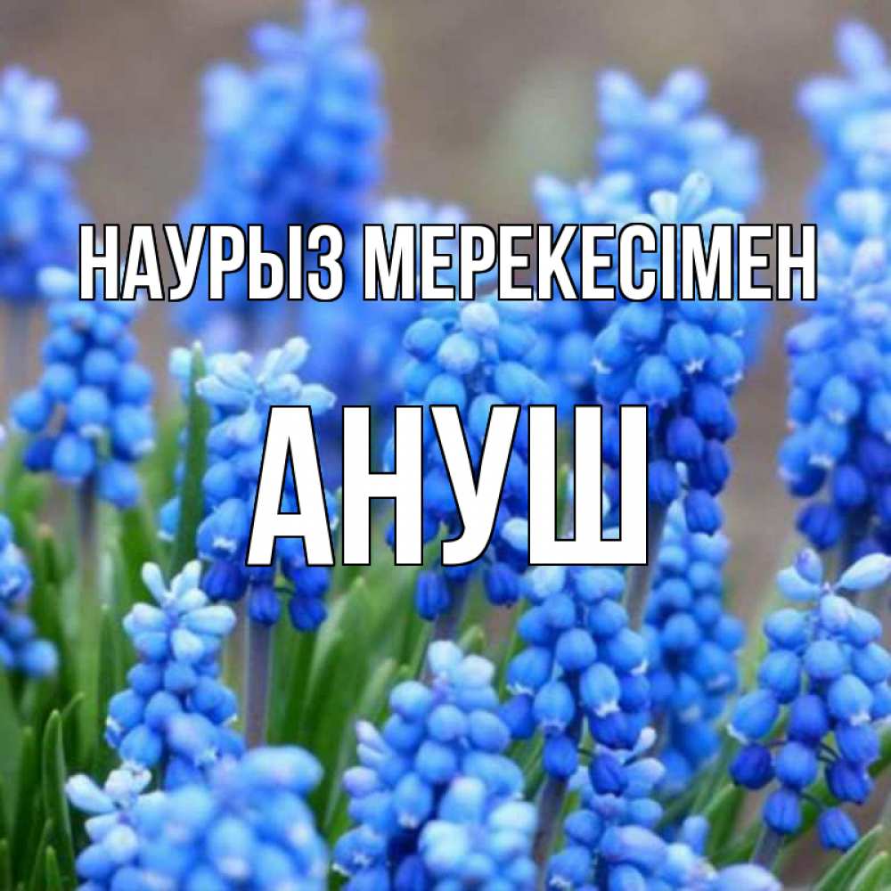 Күн сайын ашық хат с именем, Ануш Наурыз мерекесімен Поздравительная открытка для женщин с цветами на праздничную дату Онлайн тегін жүктеп алу тілектері бар керемет карта 