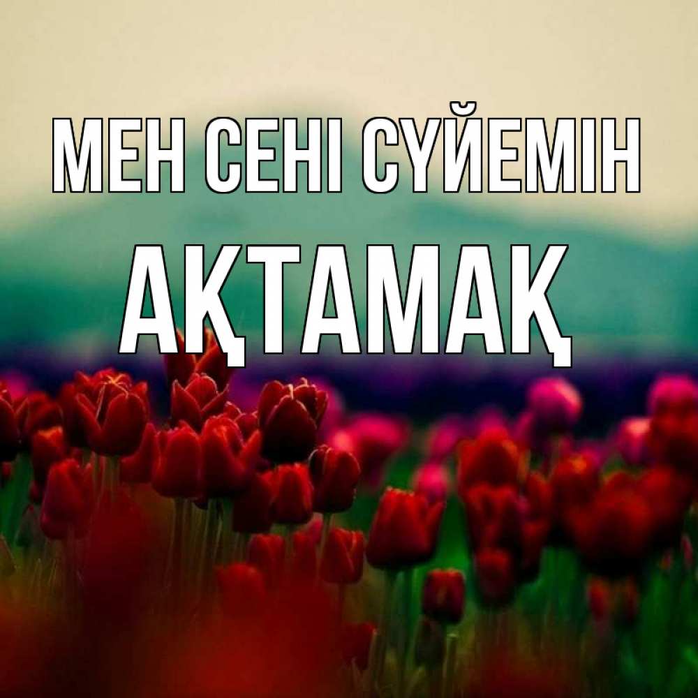 Күн сайын ашық хат с именем, Ақтамақ Мен сені сүйемін тюльпаны 4 Онлайн тегін жүктеп алу тілектері бар керемет карта 