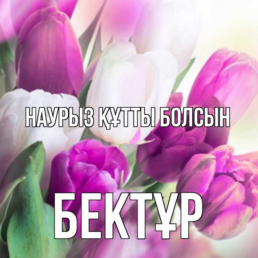 Күн сайын ашық хат с именем, Бектұр Наурыз құтты болсын весна 1 Онлайн тегін жүктеп алу тілектері бар керемет карта 