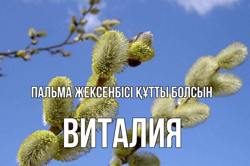Күн сайын ашық хат с именем, Виталия Пальма жексенбісі құтты болсын верба Онлайн тегін жүктеп алу тілектері бар керемет карта 