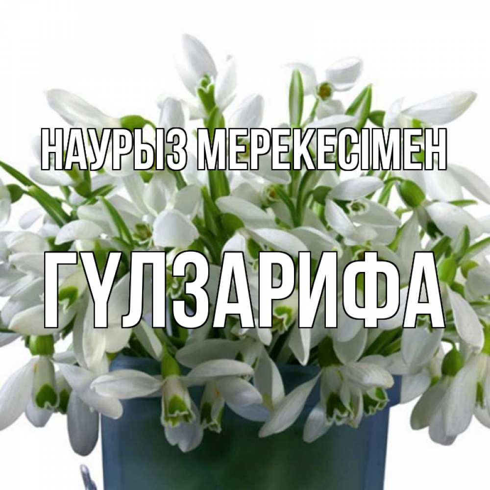 Күн сайын ашық хат с именем, ГҮЛЗАРИФА Наурыз мерекесімен цветы к наурызу новый год в Казахстане Онлайн тегін жүктеп алу тілектері бар керемет карта 