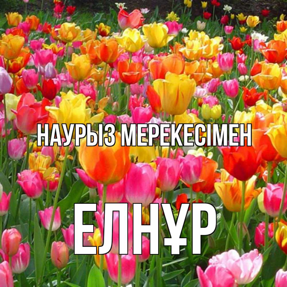 Күн сайын ашық хат с именем, Елнұр Наурыз мерекесімен праздник весны наурыз 4 Онлайн тегін жүктеп алу тілектері бар керемет карта 