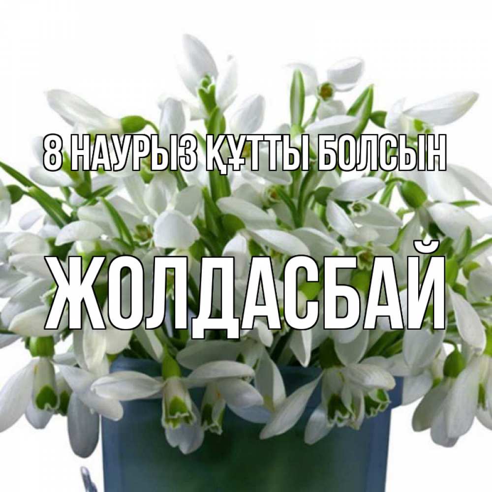 Күн сайын ашық хат с именем, Жолдасбай 8 наурыз құтты болсын цветы к международному женскому дню Онлайн тегін жүктеп алу тілектері бар керемет карта 