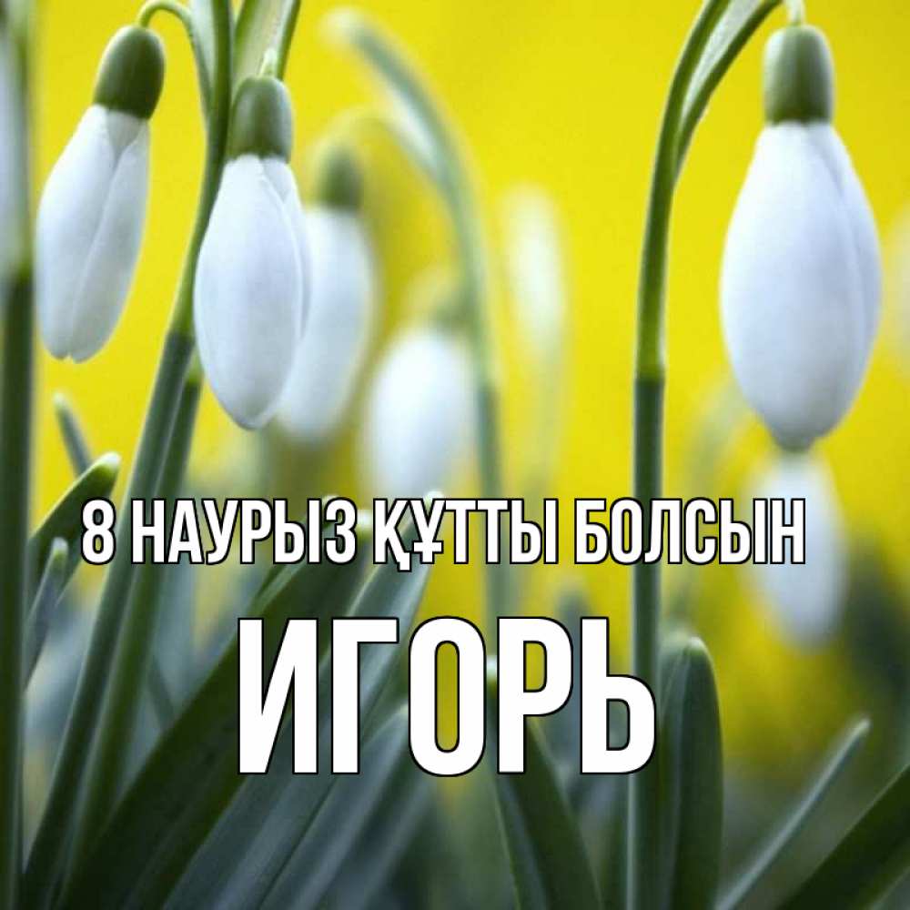 Күн сайын ашық хат с именем, Игорь 8 наурыз құтты болсын весенние цветы Онлайн тегін жүктеп алу тілектері бар керемет карта 