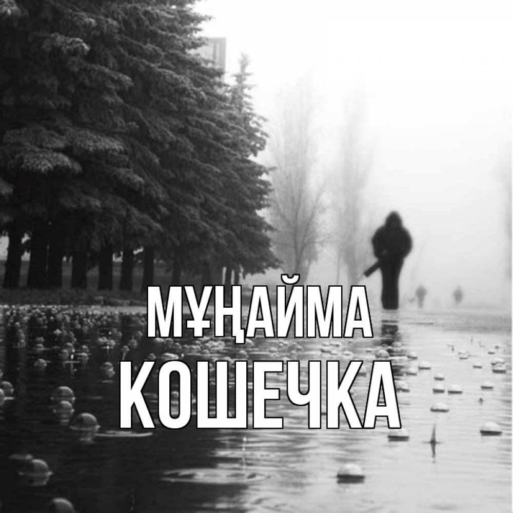 Күн сайын ашық хат с именем, Кошечка Мұңайма улица под дождем Онлайн тегін жүктеп алу тілектері бар керемет карта 