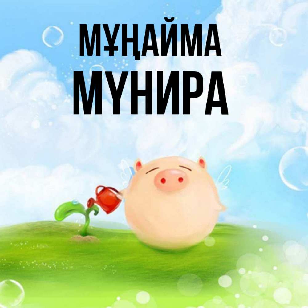 Күн сайын ашық хат с именем, МҮНИРА Мұңайма поливает цветок порося Онлайн тегін жүктеп алу тілектері бар керемет карта 