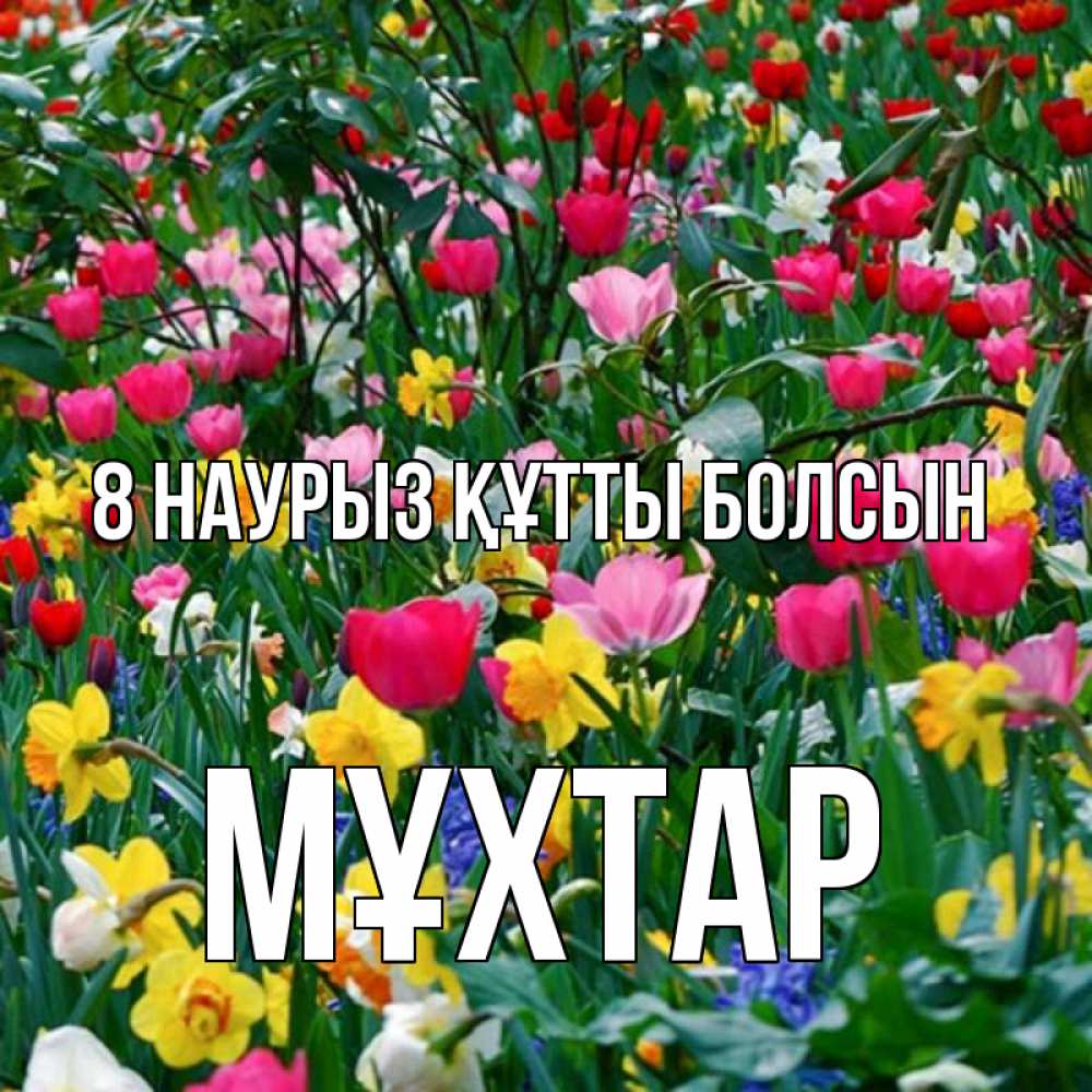 Күн сайын ашық хат с именем, МҰХТАР 8 наурыз құтты болсын с международным женским днем поздравления для женщины Онлайн тегін жүктеп алу тілектері бар керемет карта 