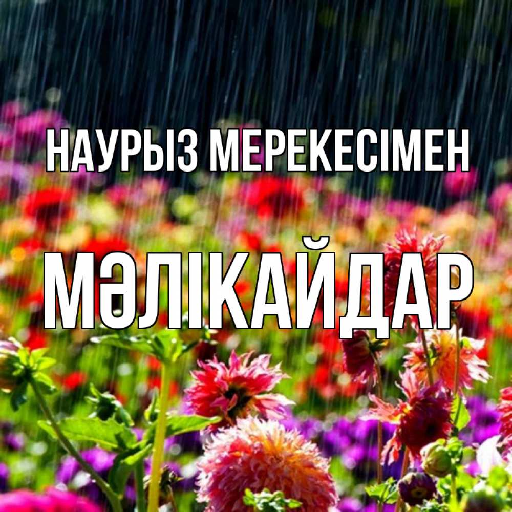 Күн сайын ашық хат с именем, МӘЛІКАЙДАР Наурыз мерекесімен цветы под дождиком к международному женскому дню Онлайн тегін жүктеп алу тілектері бар керемет карта 