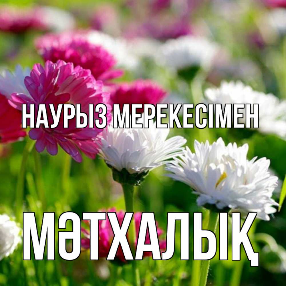 Күн сайын ашық хат с именем, МӘТХАЛЫҚ Наурыз мерекесімен праздник весны наурыз красота Онлайн тегін жүктеп алу тілектері бар керемет карта 