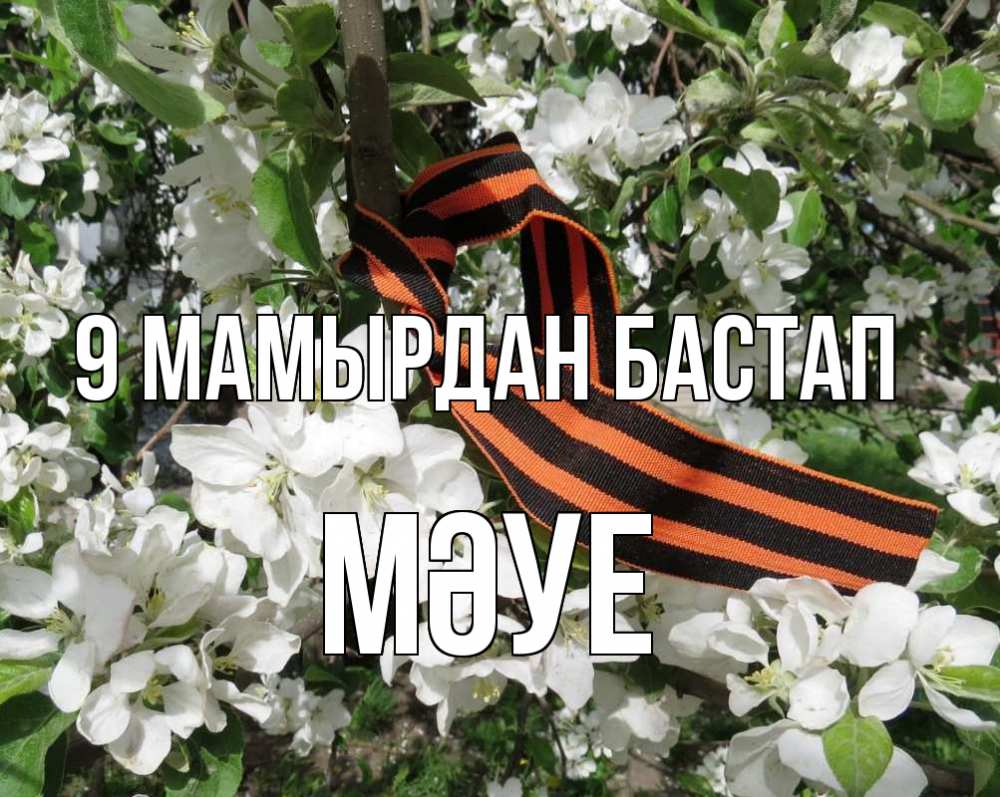 Күн сайын ашық хат с именем, МӘУЕ 9 мамырдан бастап 9 мая Онлайн тегін жүктеп алу тілектері бар керемет карта 