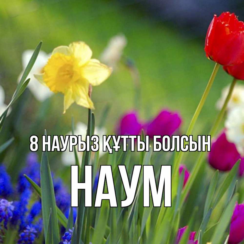 Күн сайын ашық хат с именем, Наум 8 наурыз құтты болсын международный женский день 3 Онлайн тегін жүктеп алу тілектері бар керемет карта 