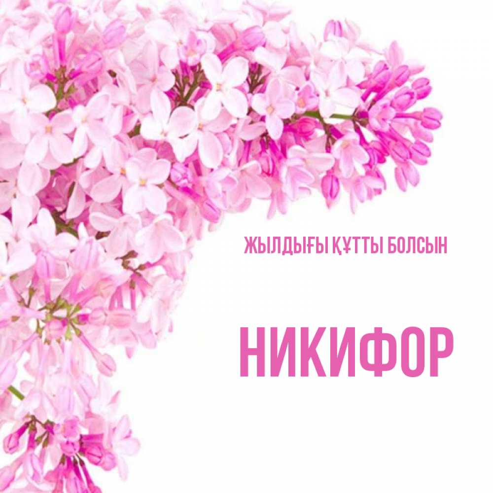 Күн сайын ашық хат с именем, Никифор Жылдығы құтты болсын Сирень на белом фоне Онлайн тегін жүктеп алу тілектері бар керемет карта 