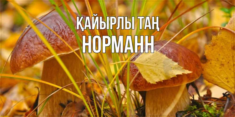 Күн сайын ашық хат с именем, Норманн Қайырлы таң осенние грибы Онлайн тегін жүктеп алу тілектері бар керемет карта 