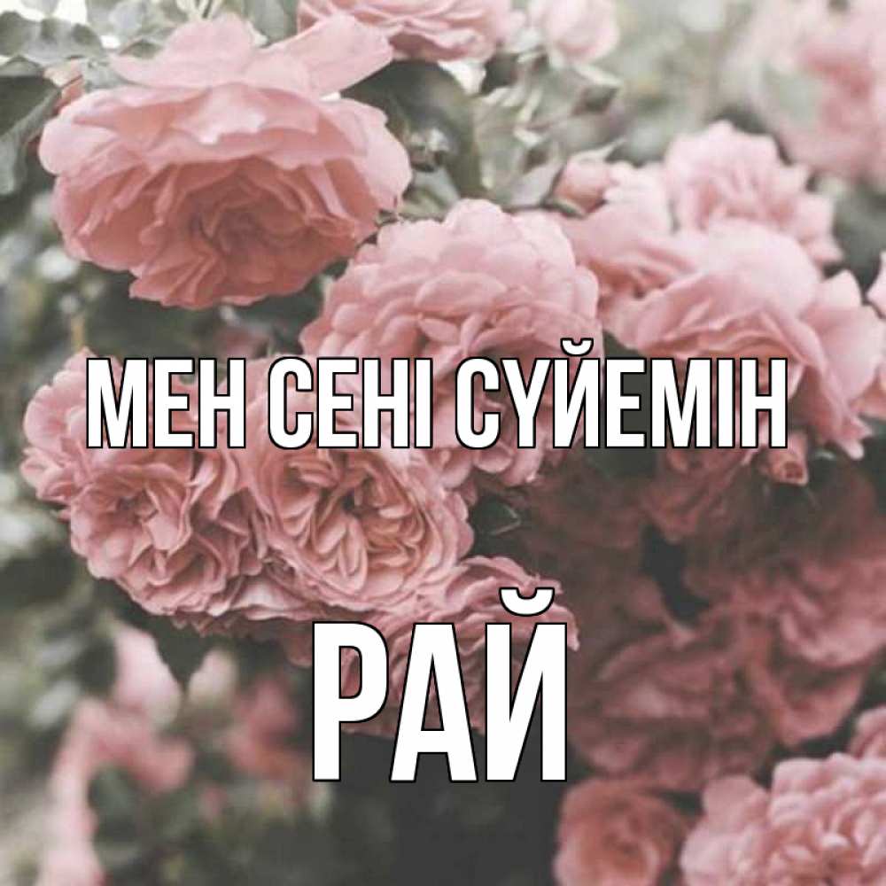 Күн сайын ашық хат с именем, РАЙ Мен сені сүйемін розы 3 Онлайн тегін жүктеп алу тілектері бар керемет карта 