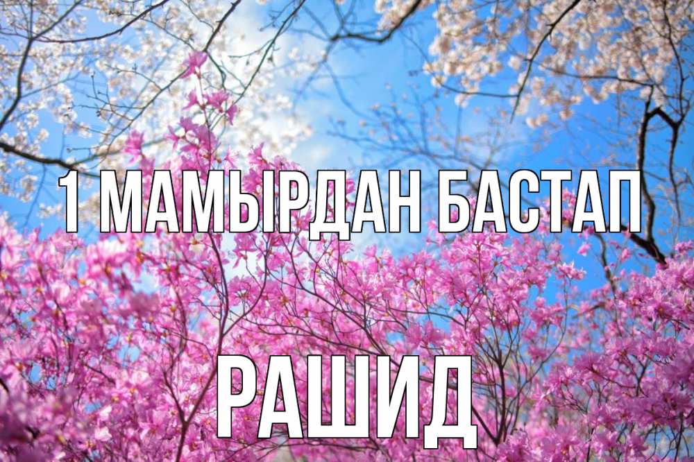 Күн сайын ашық хат с именем, Рашид 1 мамырдан бастап С 1 мая Онлайн тегін жүктеп алу тілектері бар керемет карта 