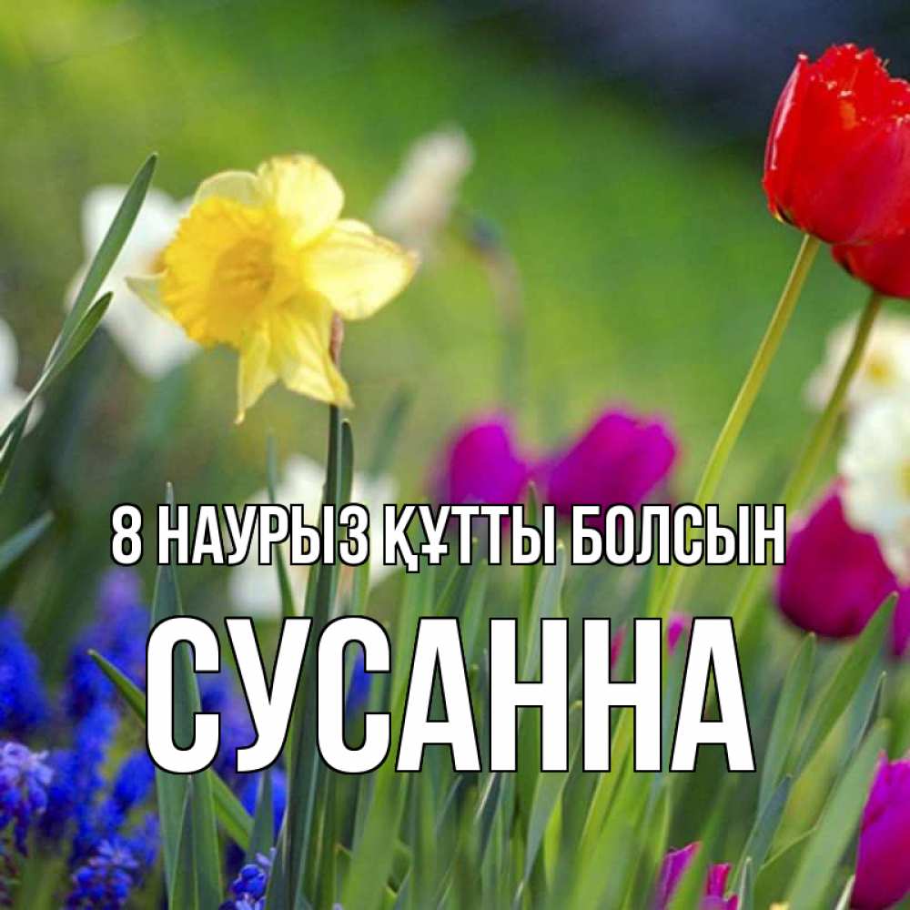 Күн сайын ашық хат с именем, Сусанна 8 наурыз құтты болсын международный женский день 3 Онлайн тегін жүктеп алу тілектері бар керемет карта 