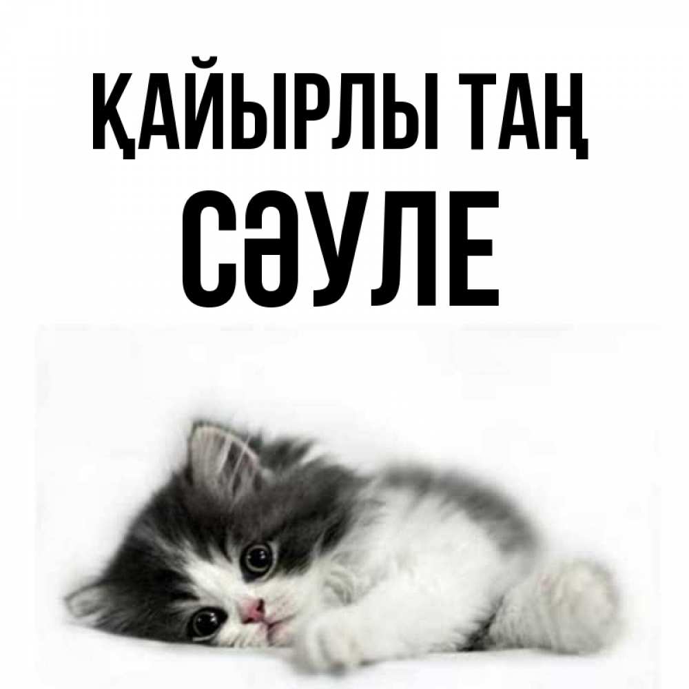 Күн сайын ашық хат с именем, СӘУЛЕ Қайырлы таң кот лапки Онлайн тегін жүктеп алу тілектері бар керемет карта 