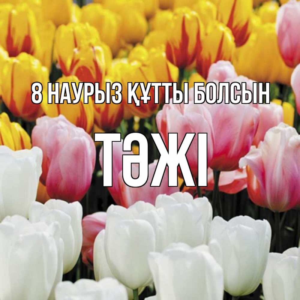 Күн сайын ашық хат с именем, ТӘЖІ 8 наурыз құтты болсын разноцветные цветы Онлайн тегін жүктеп алу тілектері бар керемет карта 