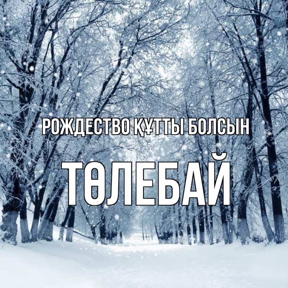Күн сайын ашық хат с именем, ТӨЛЕБАЙ Рождество құтты болсын снег, лес, парк Онлайн тегін жүктеп алу тілектері бар керемет карта 