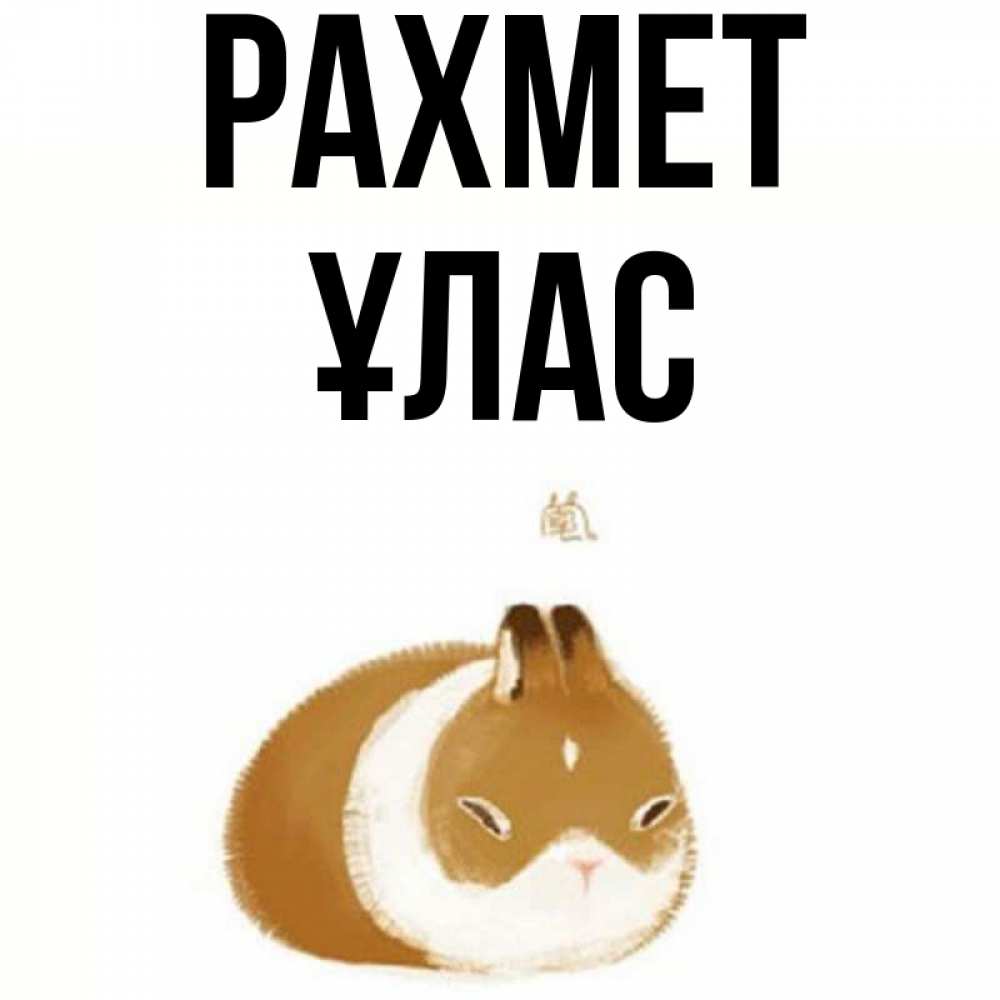 Күн сайын ашық хат с именем, ҰЛАС рахмет коричнево белый домашний питомец Онлайн тегін жүктеп алу тілектері бар керемет карта 