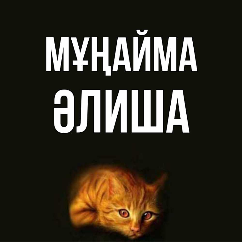 Күн сайын ашық хат с именем, ӘЛИША Мұңайма лежащий кот в темноте Онлайн тегін жүктеп алу тілектері бар керемет карта 