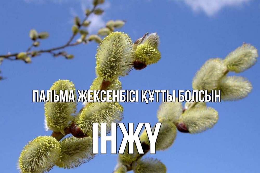 Күн сайын ашық хат с именем, ІНЖҮ Пальма жексенбісі құтты болсын верба Онлайн тегін жүктеп алу тілектері бар керемет карта 