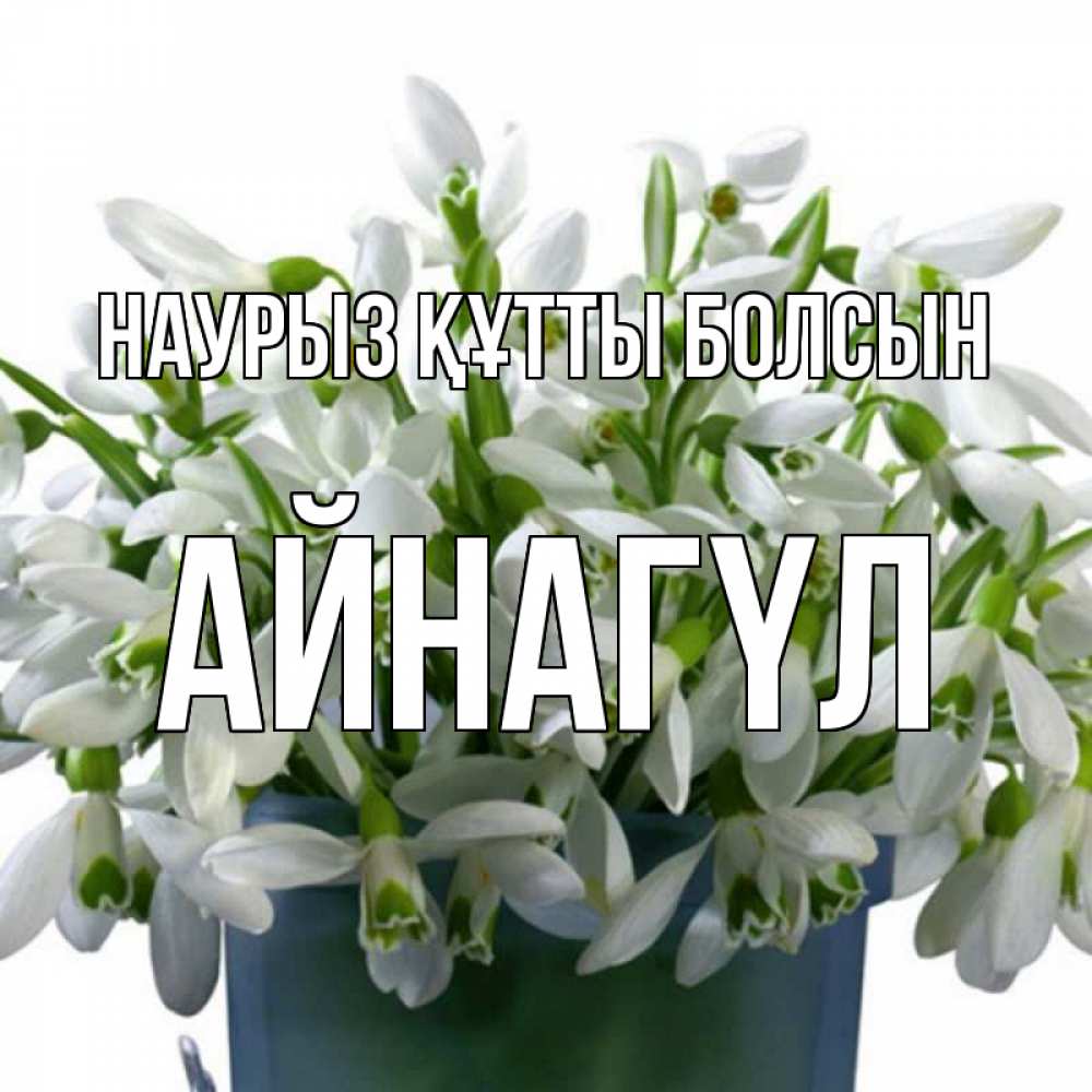 Күн сайын ашық хат с именем, АЙНАГҮЛ Наурыз құтты болсын цветы к наурызу Онлайн тегін жүктеп алу тілектері бар керемет карта 