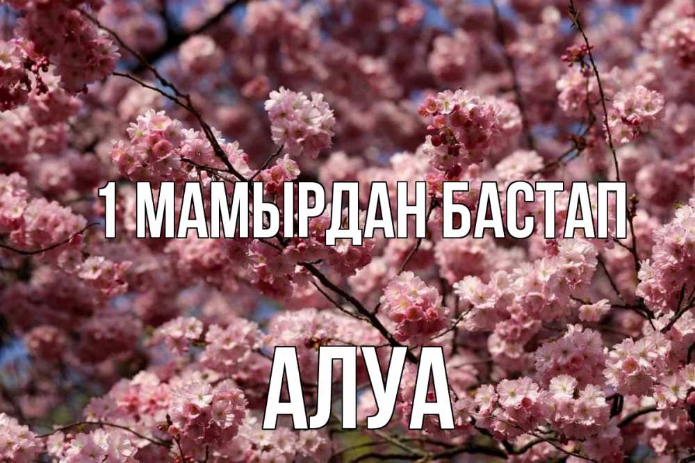 Күн сайын ашық хат с именем, АЛУА 1 мамырдан бастап С 1 мая Онлайн тегін жүктеп алу тілектері бар керемет карта 